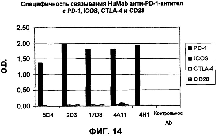 Моноклональные антитела человека к белку программируемой смерти 1 (pd-1) и способы лечения рака с использованием анти-pd-1-антител самостоятельно или в комбинации с другими иммунотерапевтическими средствами (патент 2406760)