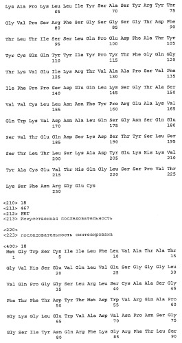 Композиция антител к her2 (патент 2361880)