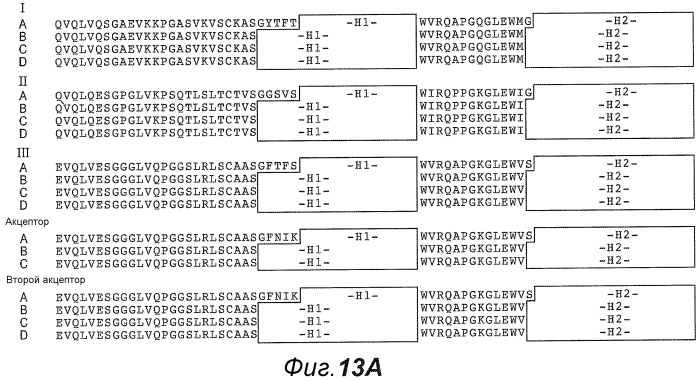 Анти-cd79b антитела и иммуноконъюгаты и способы их применения (патент 2553566)
