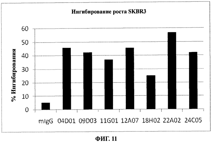 Антитела к erbb3 (патент 2568051)