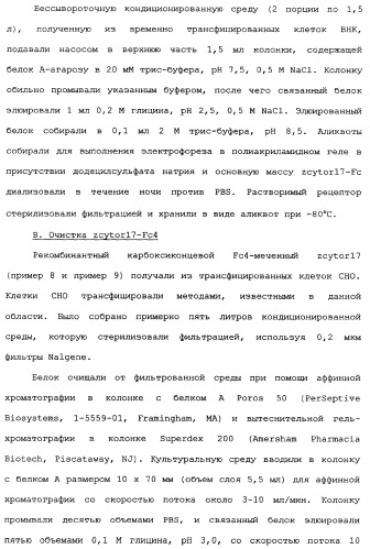 Новый лиганд рецептора цитокина zcytor17 (патент 2360923)