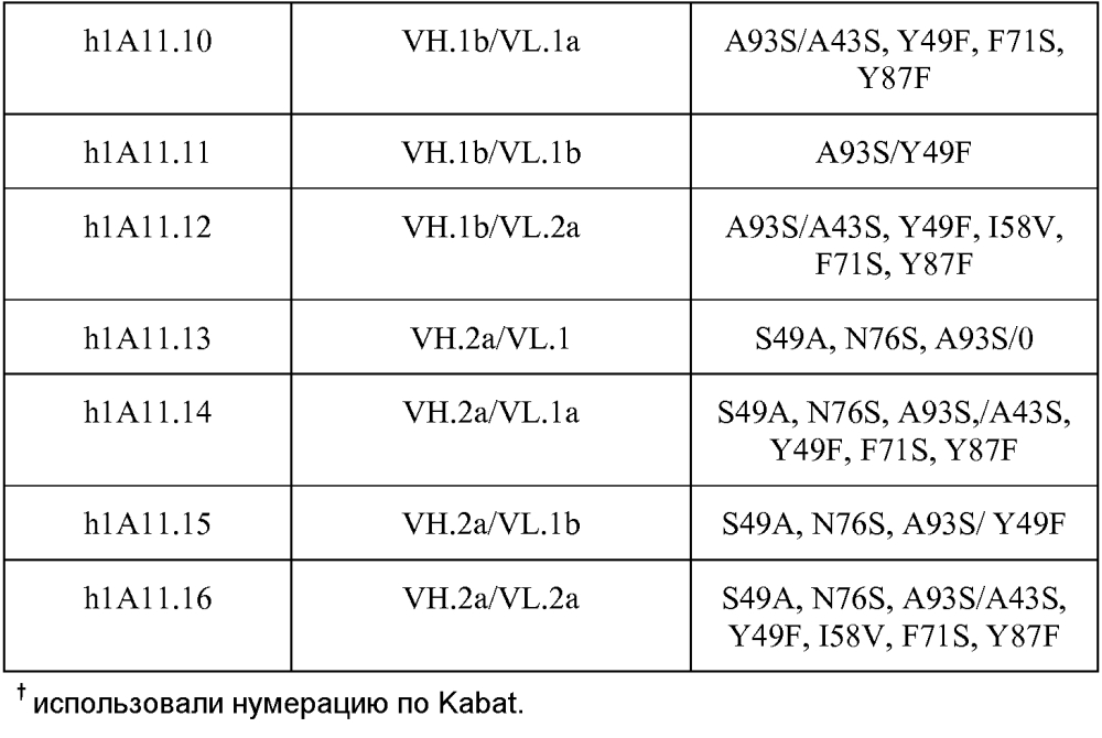 Терапевтические dll4-связывающие белки (патент 2605928)