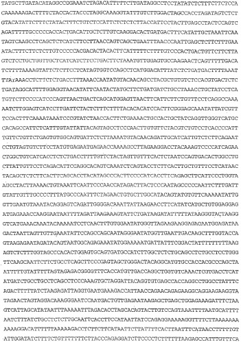 Применение s1p (патент 2362565)