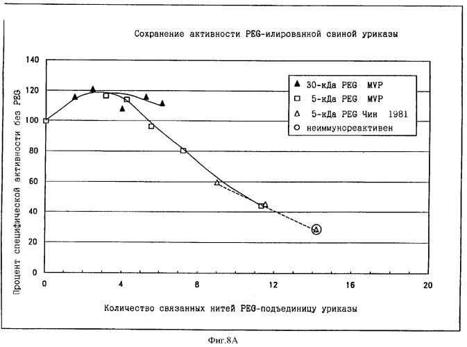 Свободная от агрегатов уратоксидаза для приготовления неиммуногенных полимерных конъюгатов (патент 2352354)