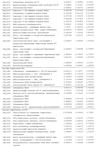 Новая гидрогеназа seq id no:5, очищенная из thermococcus onnurienus na1 с помощью моноokcида углерода, кодирующие ее гены, и способы получения водорода с использованием микроорганизма, имеющего указанные гены (патент 2460789)