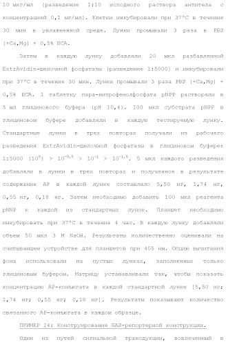 Слитые белки альбумина (патент 2369404)