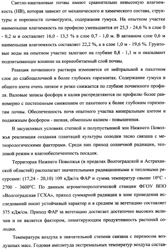 Фиторемедиационный способ очистки почв от тяжелых металлов (патент 2359444)