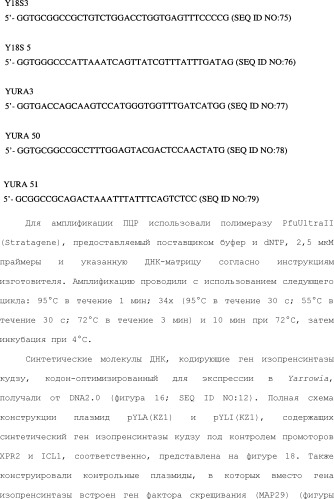 Полимеры изопрена из возобновляемых источников (патент 2505605)