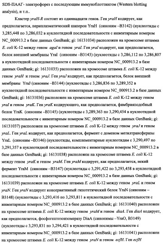 Способ получения l-треонина с использованием бактерии, принадлежащей к роду escherichia, в которой инактивирован кластер генов yrah-r (патент 2337962)