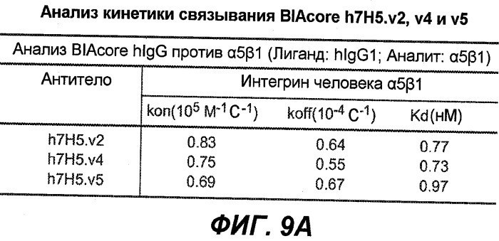 Новые антитела (патент 2490277)