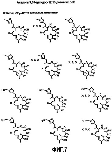 Синтез эпотилонов, их промежуточных продуктов, аналогов и их применения (патент 2462463)