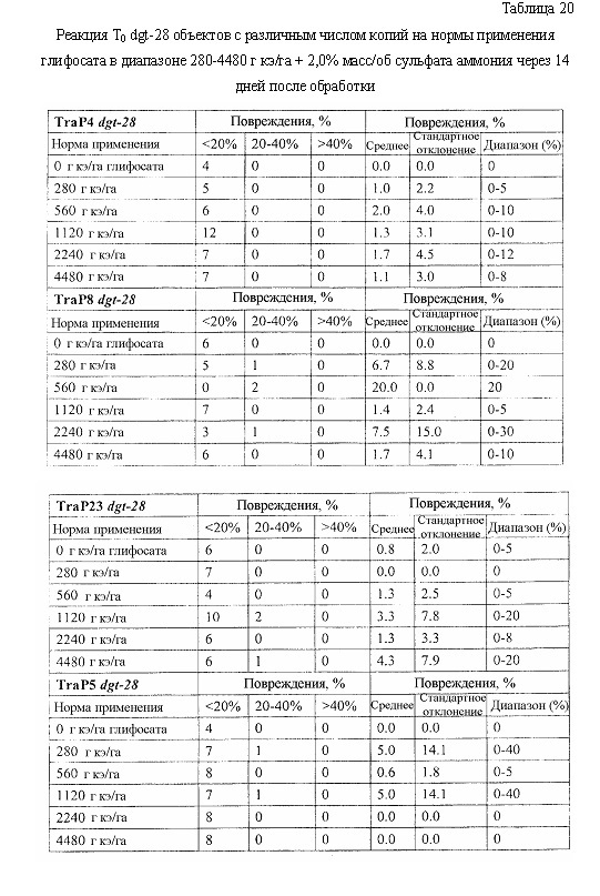Синтетические транзитные пептиды хлоропласта из brassica (патент 2636035)