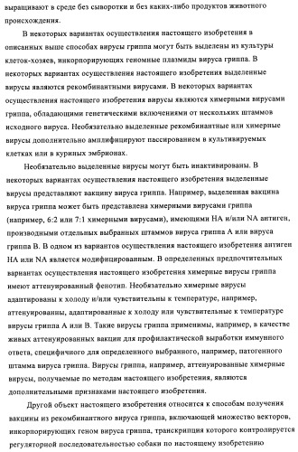 Способы и композиции для экспрессии антисмысловой вирусной рнк в клетках собаки (патент 2457250)
