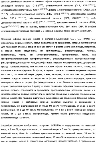 Способ получения полиненасыщенных кислот жирного ряда в трансгенных организмах (патент 2447147)