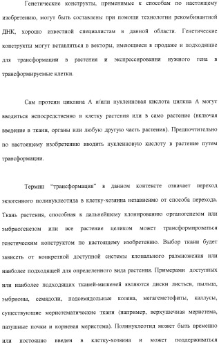 Растения с повышенной урожайностью и способ их получения (патент 2377306)