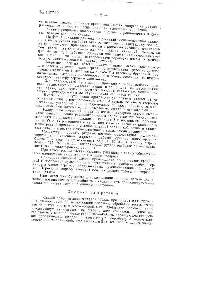 Способ возделывания сахарной свеклы при квадратно-гнездовом размещении растений (патент 137710)