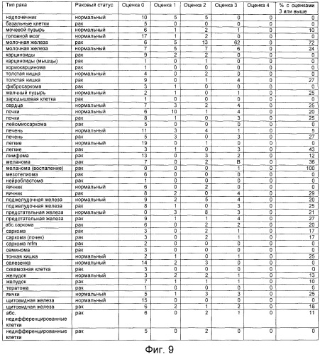 Не мышиное анти-m-csf-антитело (варианты), его получение и использование (патент 2401277)