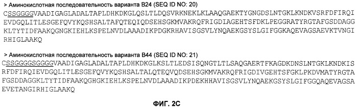 Нелипидизированные варианты антигенов neisseria meningitidis orf2086 (патент 2546873)