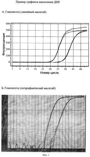 Способ определения генотипа человека по полиморфизму в гене интерлейкина 1-альфа позиция 889(с/т) (патент 2332669)