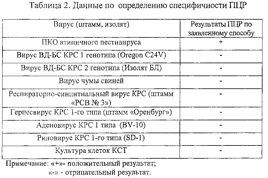 Синтетические олигонуклеотидные праймеры и способ выявления рнк атипичного пестивируса крупного рогатого скота (патент 2607025)