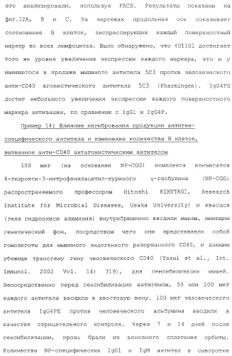 Мутанты анти-cd40 антитела (патент 2377254)