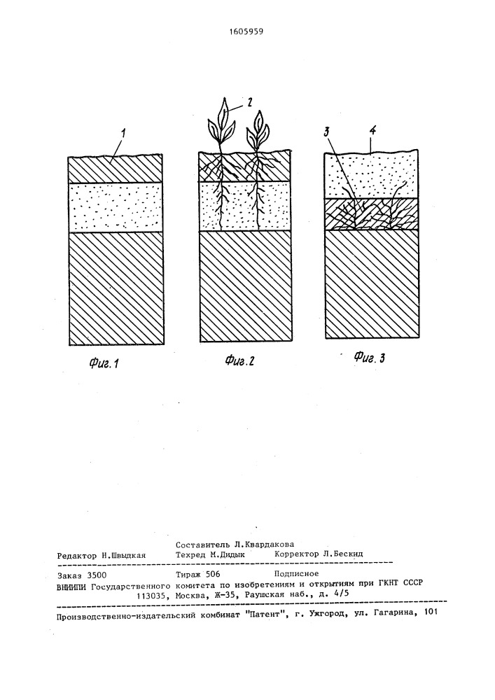 Способ рекультивации земель (патент 1605959)