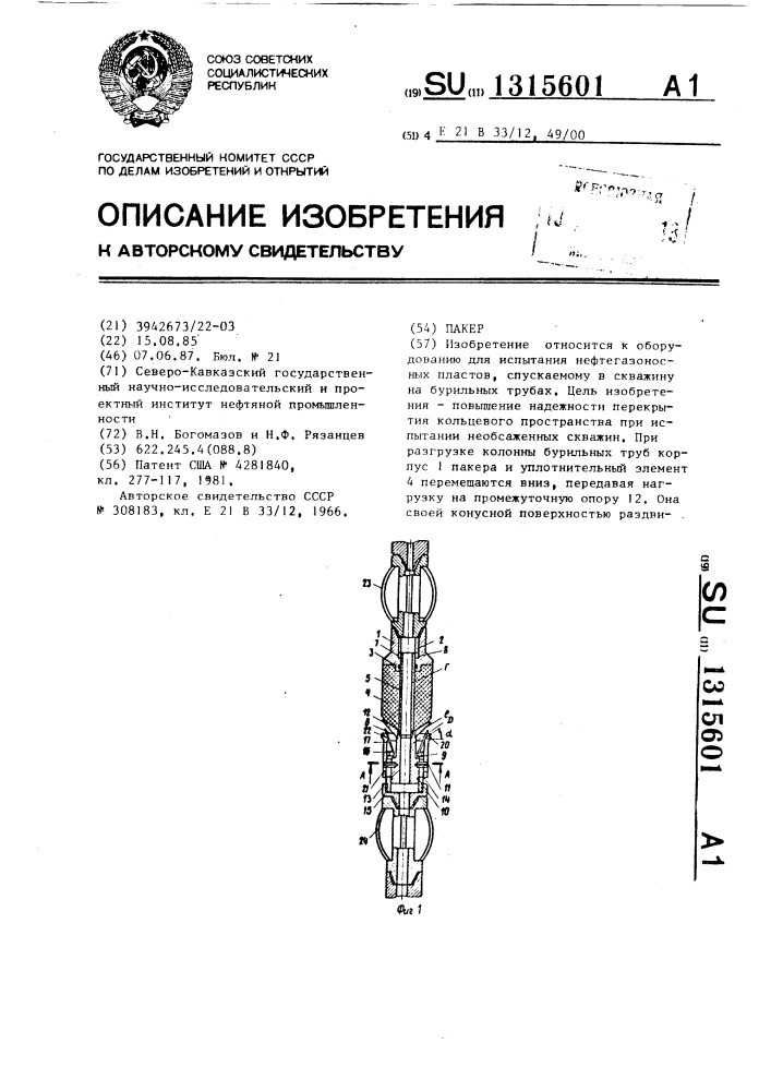 Пакер (патент 1315601)