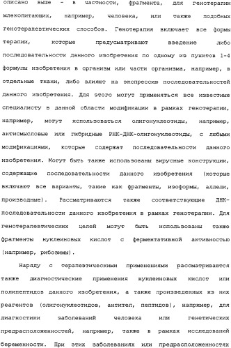 Ее3-семейство белков и соответствующие днк-последовательности (патент 2333918)