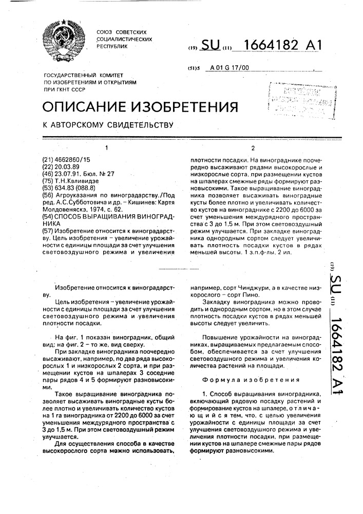 Способ выращивания виноградника (патент 1664182)