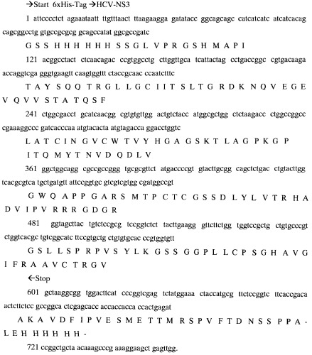 Композиция для лечения гепатита с и способ лечения гепатита с (патент 2447899)