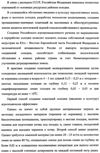 Способ прогнозирования семенной продуктивности солодки голой и солодки уральской сухостепного, лиманного и пойменного экотипов (патент 2360403)