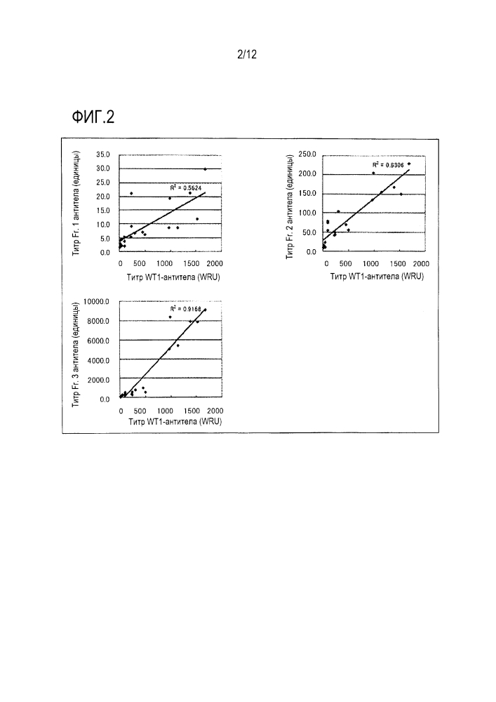 Способ измерения антитела против wt1 (патент 2633068)