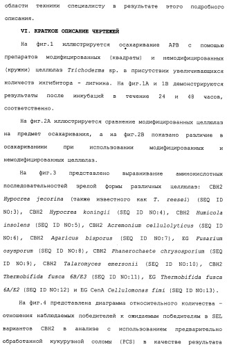 Композиции и способы, включающие варианты целлюлазы со сниженным сродством к нецеллюлозным материалам (патент 2486242)