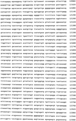 Бактериофаг, обладающий активностью против pseudomonas aeruginosa, белки бактериофага и способы их применения (патент 2580248)
