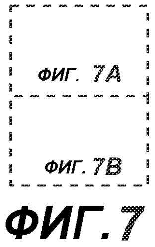 Антитела против bv8 и их применение (патент 2559542)