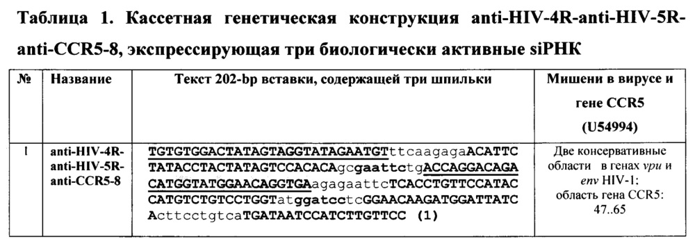 Кассетная генетическая конструкция, экспрессирующая две биологически активные siphk, эффективно атакующие мишени в мрнк генов vpu и env вич-1 субтипа а у больных в россии, и одну siphk, направленную на мрнк гена ccr5 (патент 2630644)
