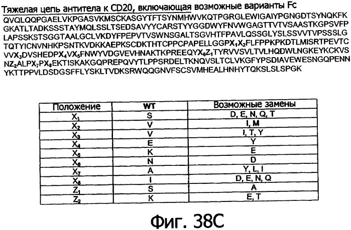 Оптимизированные fc-варианты, имеющие измененное связывание с fc r, и способы их получения (патент 2337107)