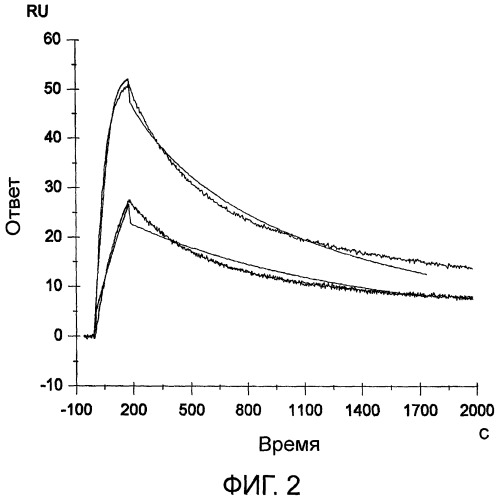 Способ модификации изоэлектрической точки антитела с помощью аминокислотных замен в cdr (патент 2510400)
