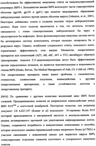 Иммуногенная композиция и способ разработки вакцины, основанной на участках матричного белка вич (патент 2403915)