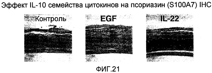 Составы и способы лечения заболеваний и нарушений, связанных с передачей сигналов цитокинами (патент 2426742)