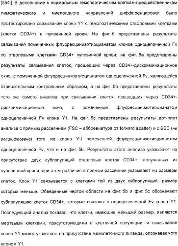 Специфические антитела человека для избирательной терапии рака (патент 2316564)