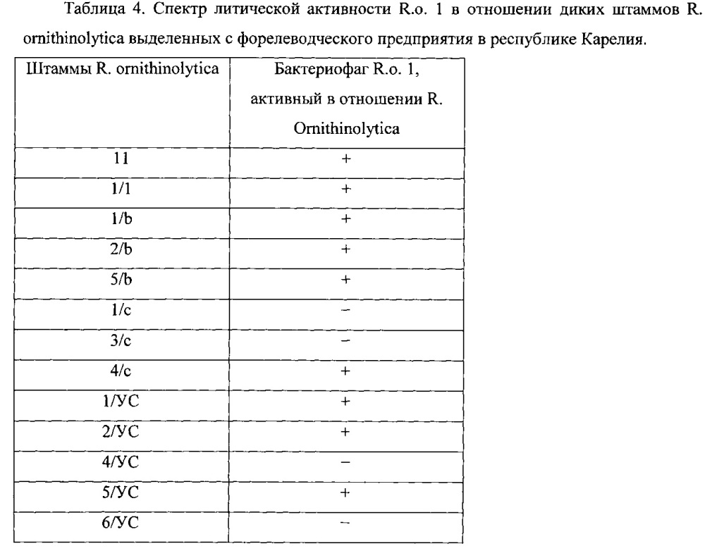 Композиция антибактериальная для продления срока годности охлажденной рыбы и снижения риска возникновения инфекций, передаваемых пищевым путем, штаммы бактериофагов, используемые для ее получения (патент 2644667)