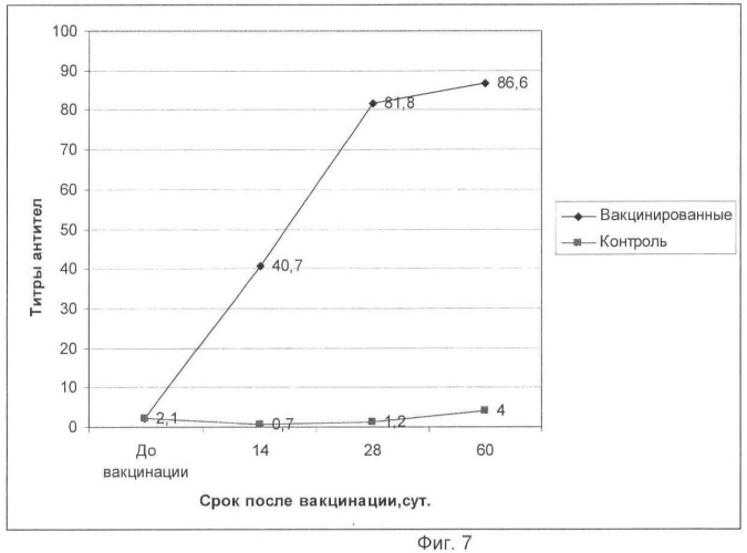 Вакцина ассоциированная против ньюкаслской болезни, реовирусного теносиновита и метапневмовирусной инфекции птиц инактивированная эмульсионная (патент 2480238)