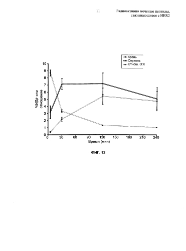 Радиоактивно меченые пептиды, связывающиеся с her2 (патент 2592685)