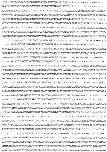 Применение s1p (патент 2362565)