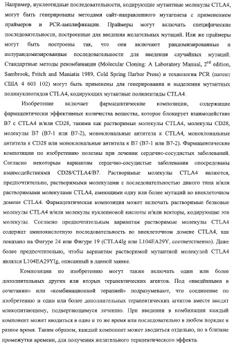 Способ лечения сердечно-сосудистого заболевания с применением растворимого ctla4 (патент 2353384)