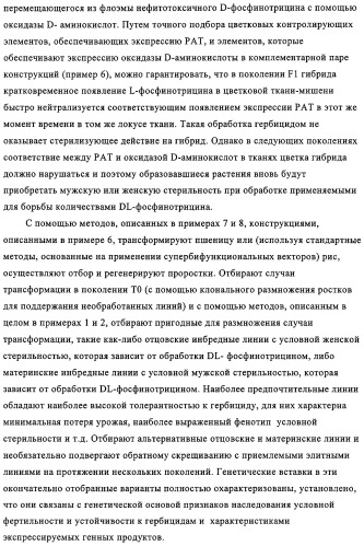 Способ избирательного получения растений с мужской или женской стерильностью (патент 2320722)