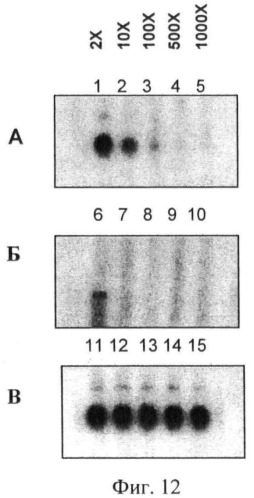 Химерные и гуманизированные антитела к cd44, которые опосредствуют цитотоксичность в отношении раковых клеток (патент 2487723)