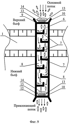 Способ пропуска рыб через рыбоход из нижнего бьефа гидроузла в верхний бьеф (варианты) (патент 2377365)