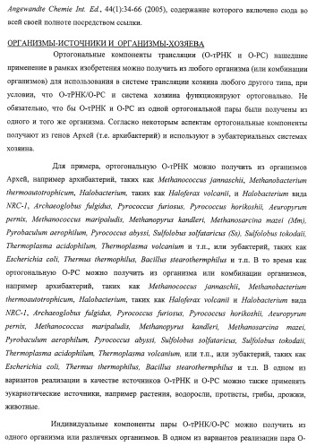 Система экспрессии компонентов ортогональной трансляции в эубактериальной клетке-хозяине (патент 2467069)
